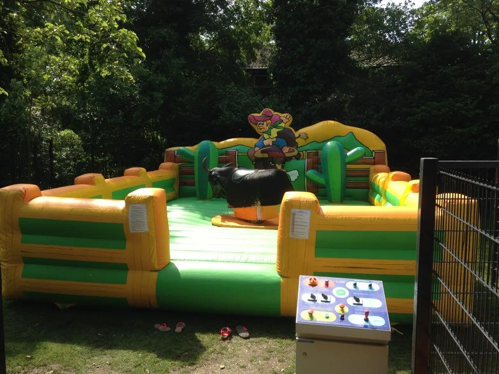 Rodeostier huren 1_1679326052.jpg