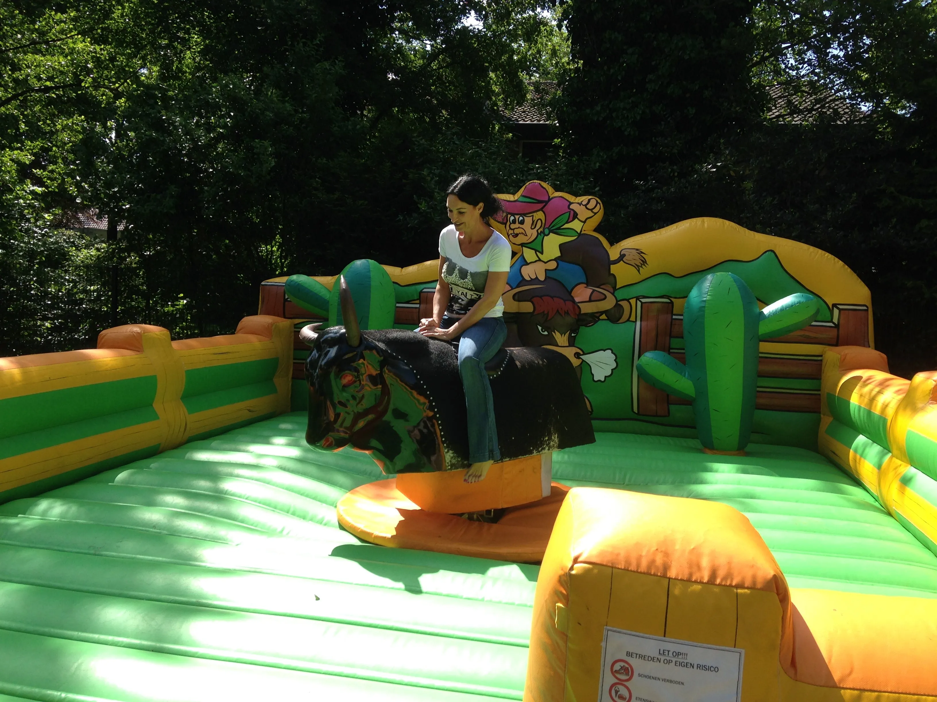 Rodeostier huren_1679326053.jpg