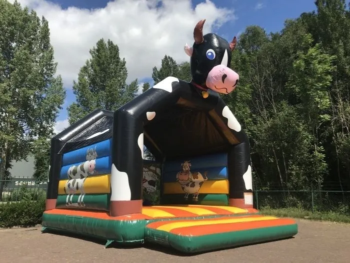 Springkussen Koe overdekt