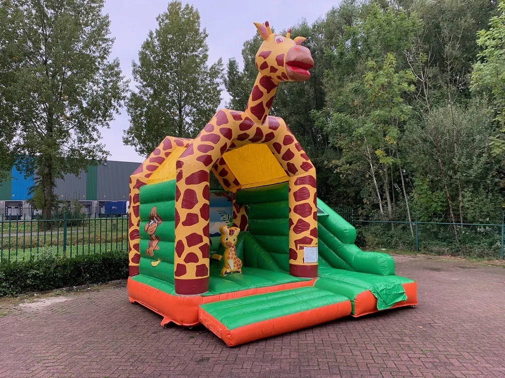Multifun Mini Giraffe huren 2_1678805056.jpg