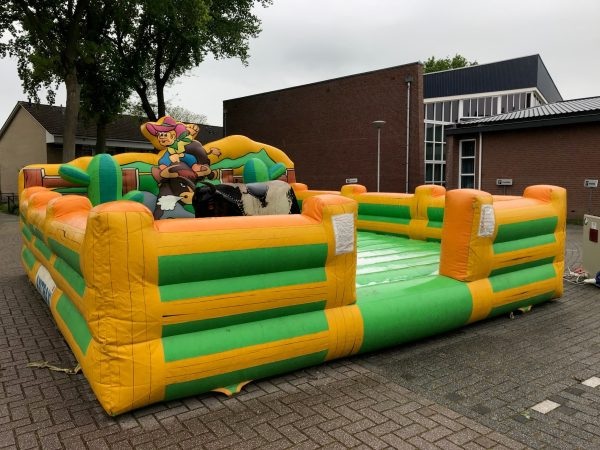 20250226135432-Rodeostier huren