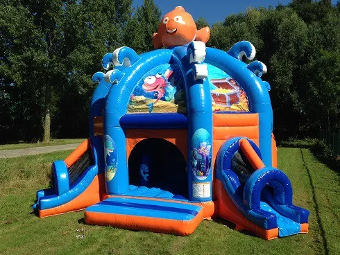 Combo Dome Clownvis huren 3_1678795282.jpg