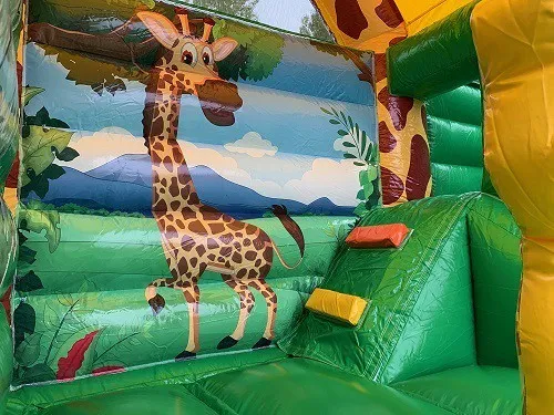 Multifun Mini Giraffe huren 4_1678805057.jpg