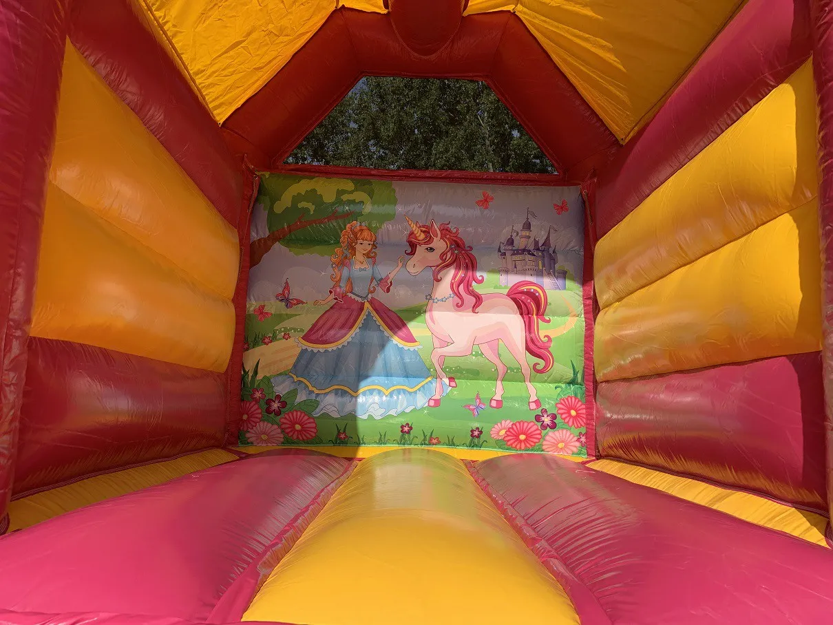 Springkussen prinses overdekt 2_1678715813.jpg