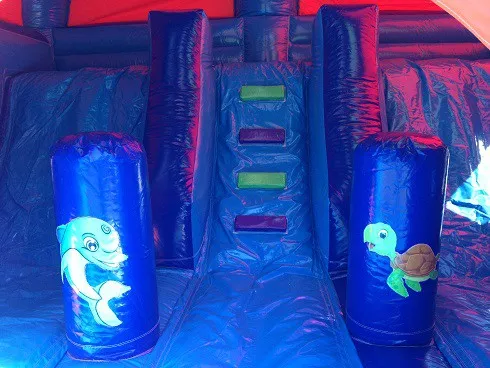 Combo Dome Clownvis huren 1_1678800637.jpg
