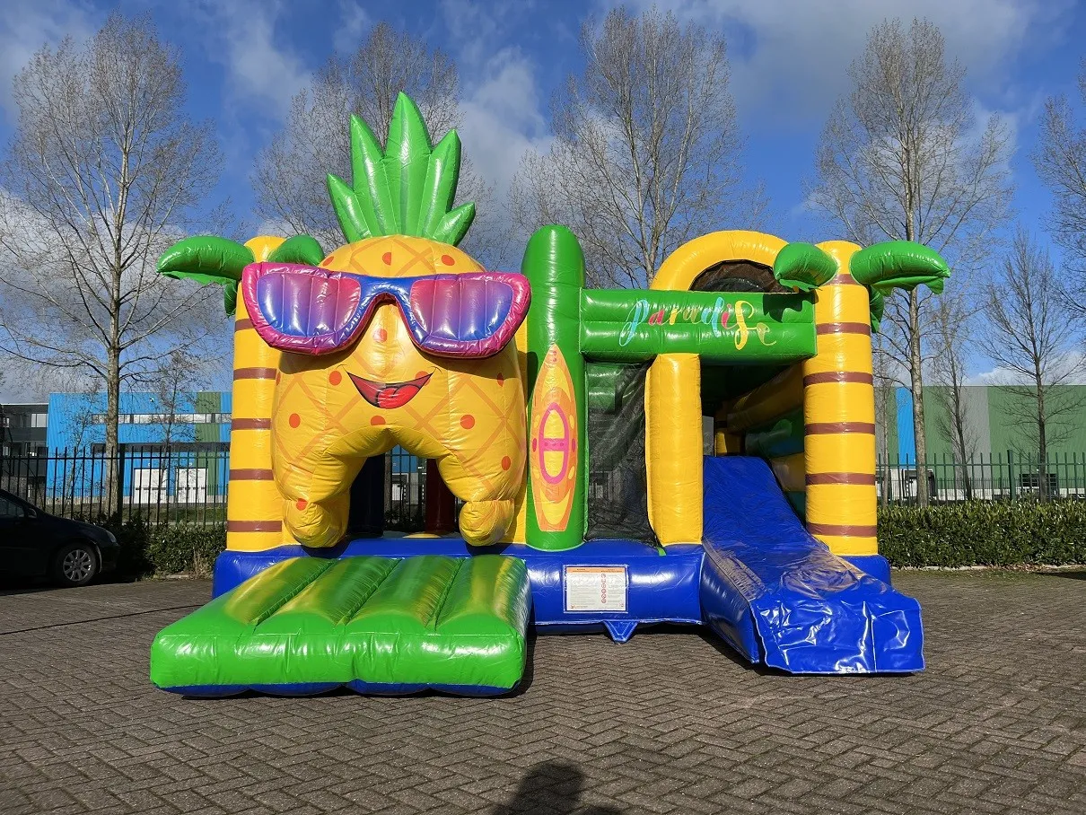 Multiplay-paradise-zonder-dak-kopen-1_1751624424.jpeg
