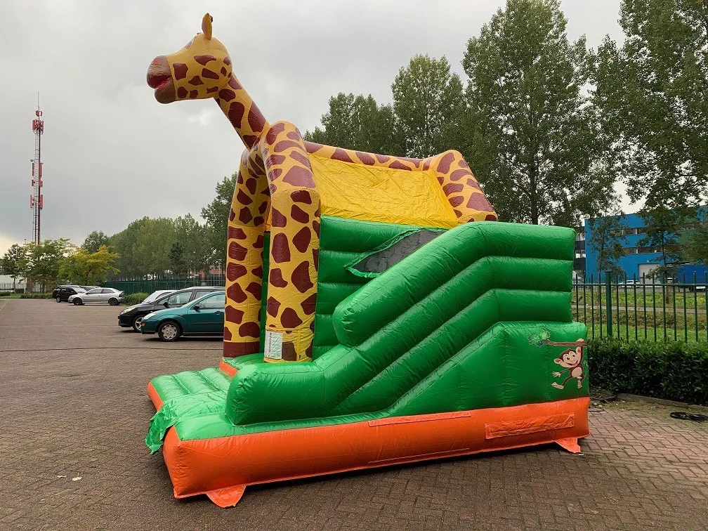 Multifun Mini Giraffe huren 5_1678805057.jpg