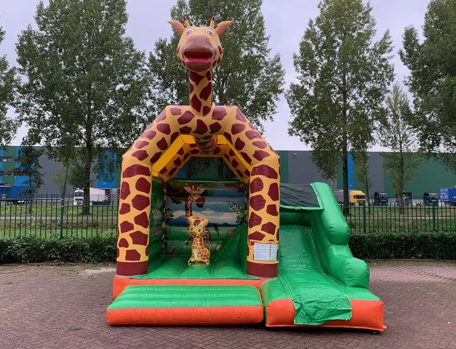 Multifun Mini Giraffe huren 1_1678805056.jpg