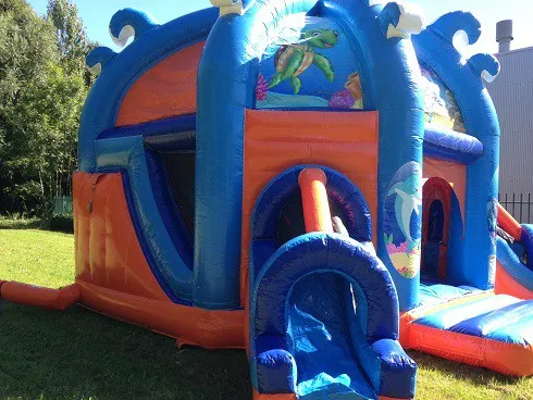 Combo Dome Clownvis huren 4_1678795282.jpg
