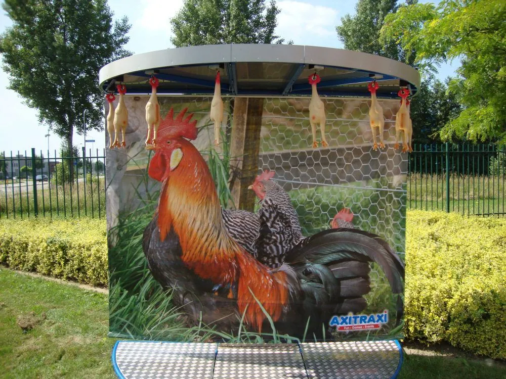 Kipvangspel huren 1_1679312468.jpg