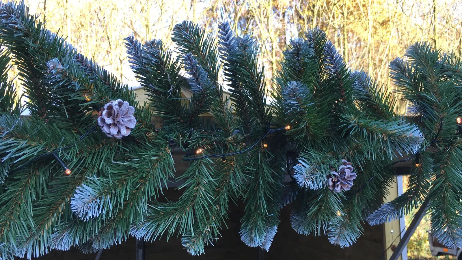 Guirlande verlichting voor markthuisje huren_1679404082.jpg