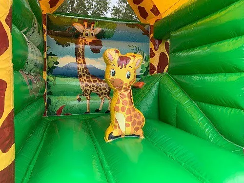 Multifun Mini Giraffe huren 3_1678805057.jpg