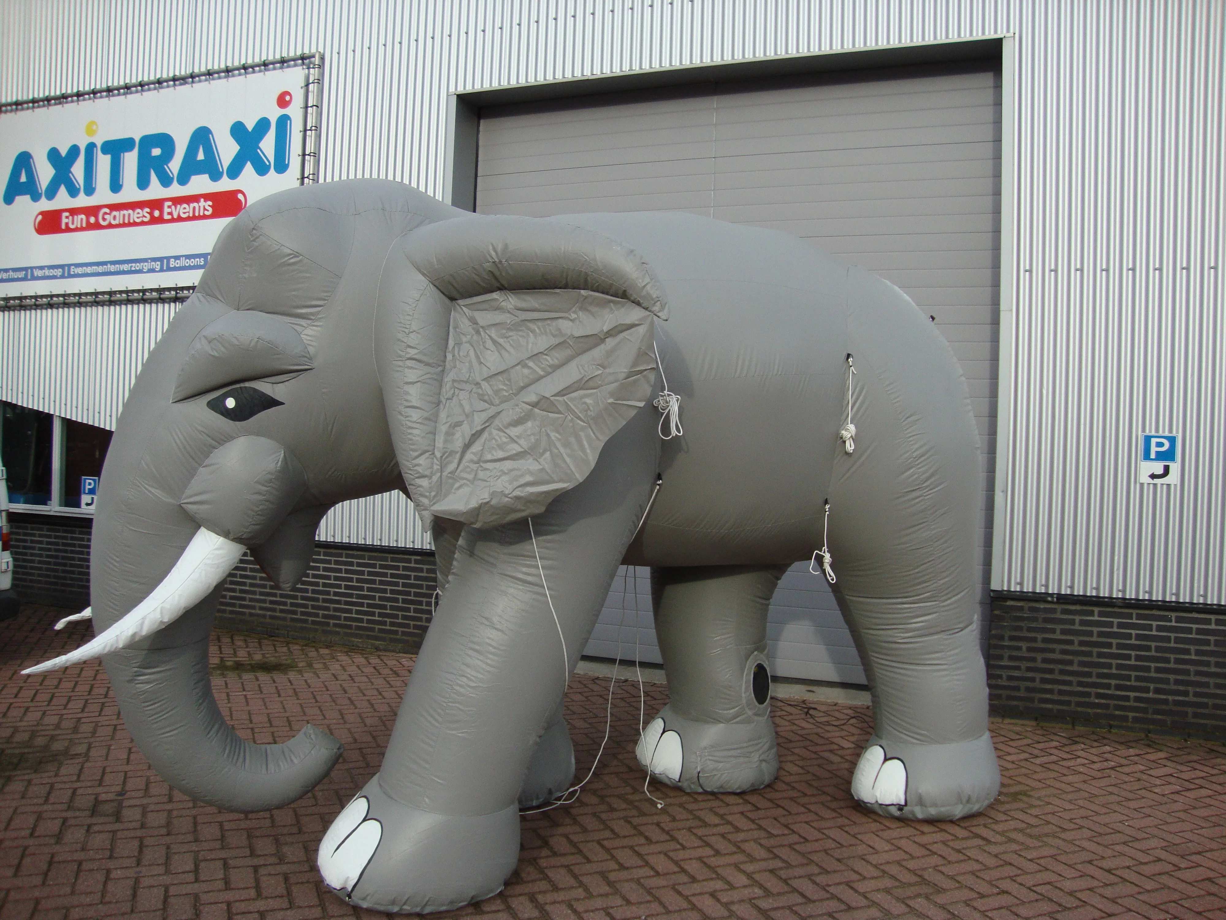 Eyecatchers_olifant_opblaasbaar_huren_Blickfang_elephant_aufblasbar_mieten_1679843543.jpg