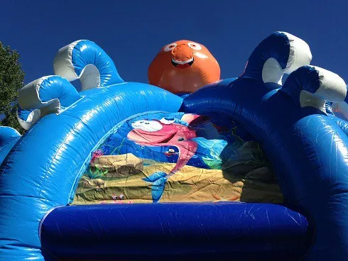 Combo Dome Clownvis huren 2_1678795282.jpg