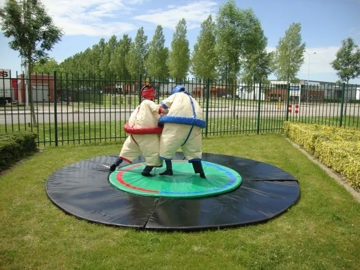 Sumoworstelen Volwassenen