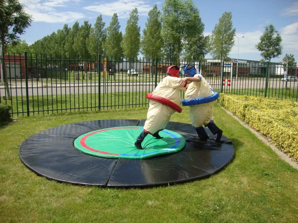 Sumoworstelen volwassenen huren 2_1679310775.jpg