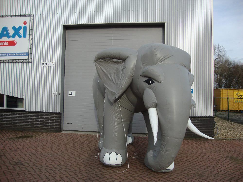 Eye catcher grote opblaasbare olifant attractie verhuur Elephant blickfang Attraktionen verleih