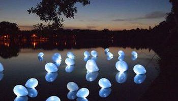 ballon ledballonnen water verlichting kopen versiering zwembad water licht axitraxi nijmegen