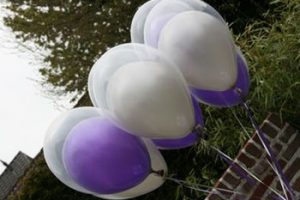 ballonnen ballon doorzichtige ballon 35cm helium lint axitraxi nijmegen