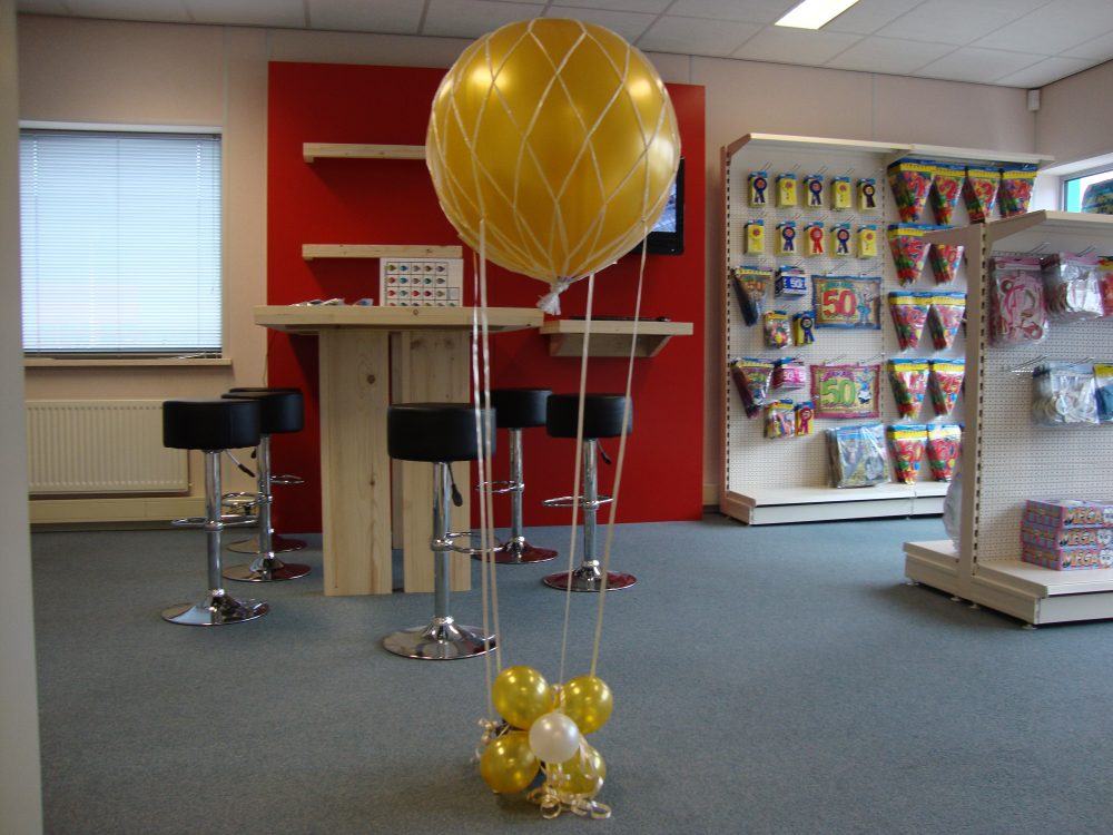 ballonnen luchtballon in net 65 cm decoratie gelderland feest axitraxi