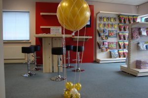 ballonnen luchtballon in net 65 cm decoratie gelderland feest axitraxi