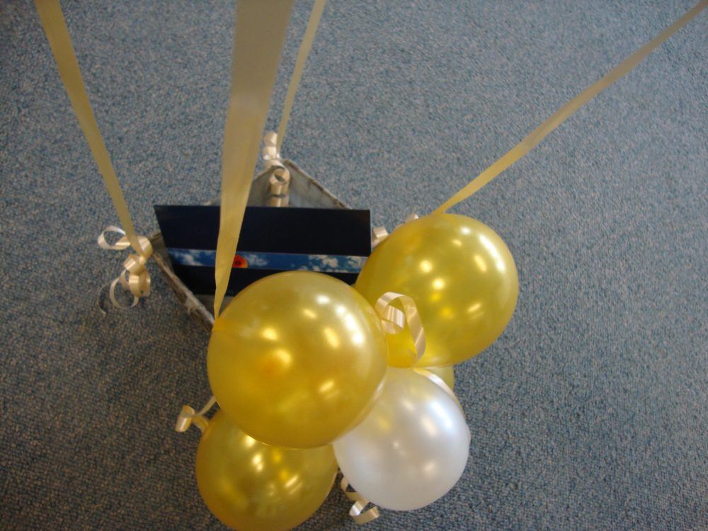 ballonnen luchtballon in net 65 cm decoratie gelderland feest axitraxi malden kopen