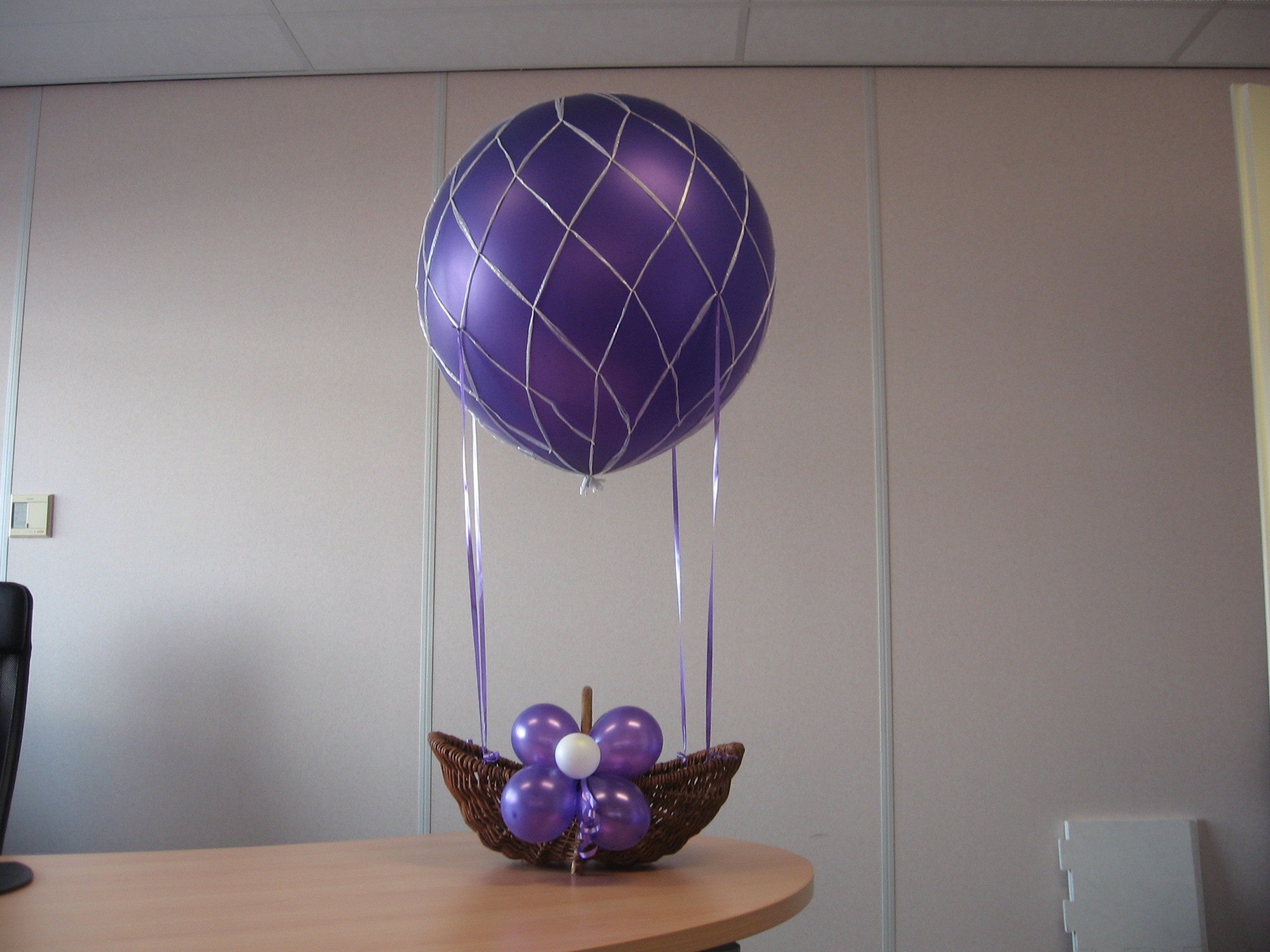 kiezen Savant Waardig Luchtballon in net Ø 100 cm - Axitraxi