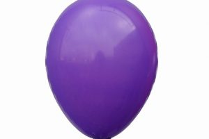 ballonnen standaard 35cm met helium en lint nijmegen