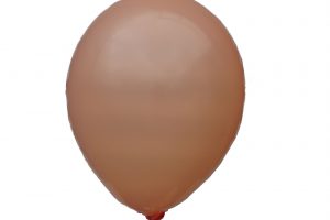 ballonnen standaard 35cm met lucht en stokje ballon wijchen