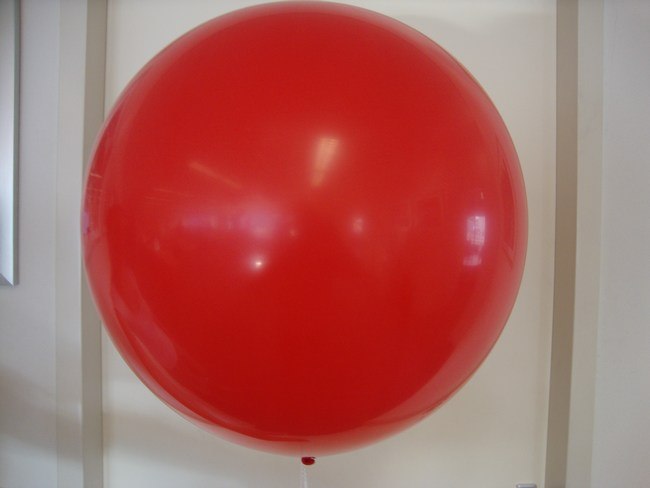 ballonnen standaard reuzeballon 65cm nijmegen